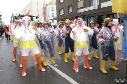 Img 6355
